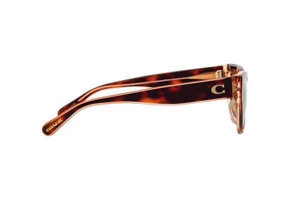 Coach modello 8370U CH570 di colore 574413