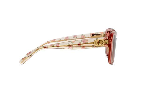 Coach modello 8352 CD472 di colore 570513