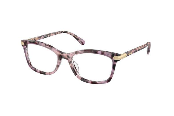 Occhiali da sole Coach 6219U 5777