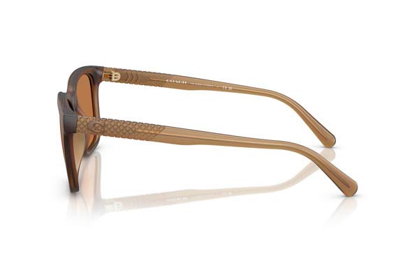 Coach modello 8426U CAD81 di colore 587673