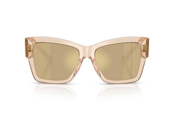 Dolce Gabbana 4493