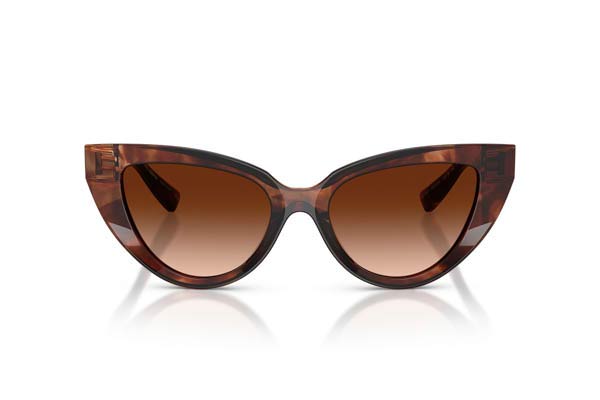 Dolce Gabbana 4497