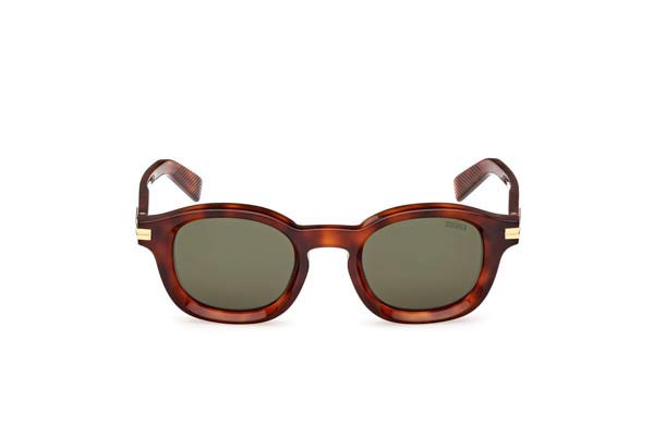 ERMENEGILDO ZEGNA modello EZ0229 di colore 52N