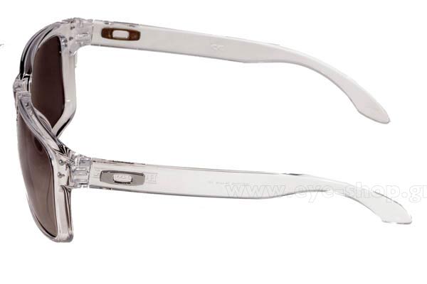 Oakley modello Holbrook 9102 di colore 06 Chrome Iridium