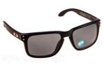 Occhiali da Sole Sport Oakley Holbrook-9102 17 HD Polarized Shaun White size 55