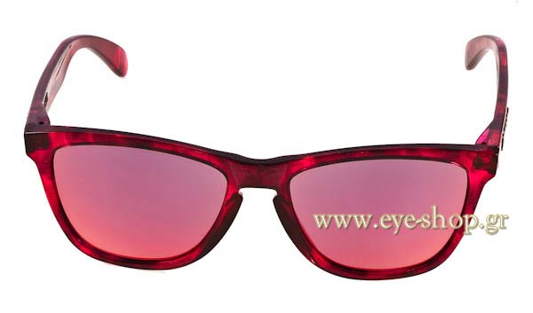 Oakley Frogskins 9013