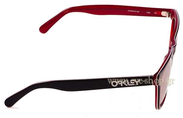 Oakley model Frogskins LX 2043 and color 204-305 Navy - Chrome Iridium