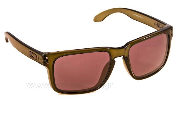 Occhiali Oakley Holbrook 9102 65  Olive Ink Warm Grey