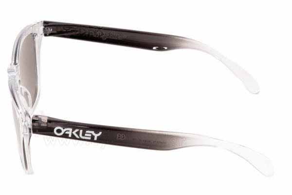 Oakley modello Frogskins 9013 di colore 72 alpine storm chrome iridium