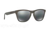 Occhiali da Sole Uomo Oakley Frogskins-9013 87 Lead Metal Collection size 55