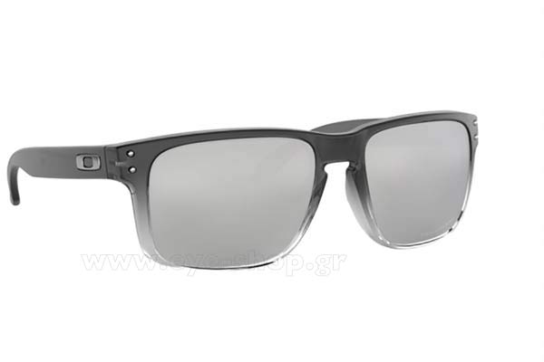 Occhiali Oakley Holbrook 9102 A9