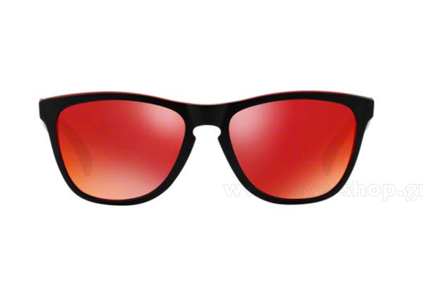 Oakley Frogskins 9013