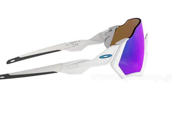Oakley modello Flight Jacket 9401 di colore 02