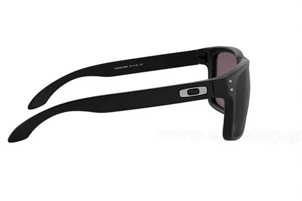 Oakley modello Holbrook 9102 di colore E8