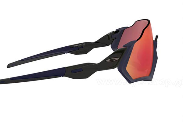 Oakley modello Flight Jacket 9401 di colore 18