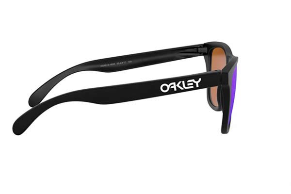 Oakley modello Frogskins 9013 di colore H6