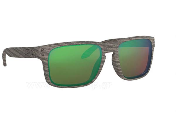 Occhiali da sole Oakley Holbrook 9102 J8