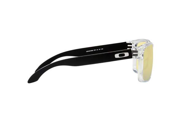 Oakley modello Holbrook 9102 di colore X2