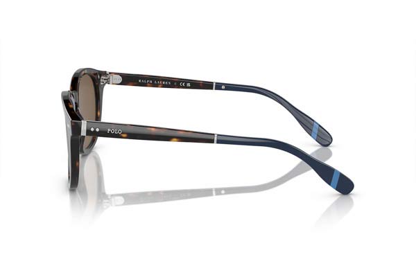 Polo Ralph Lauren modello 4206 di colore 500373
