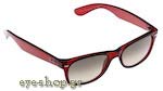 Occhiali da Sole Unisex Rayban 2132-New-Wayfarer 735/32 Καταργήθηκε size 52