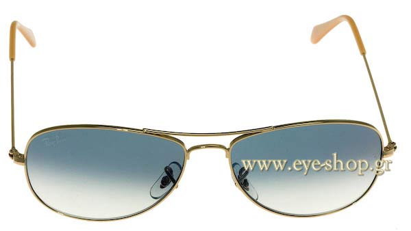 Rayban 3362 Cockpit