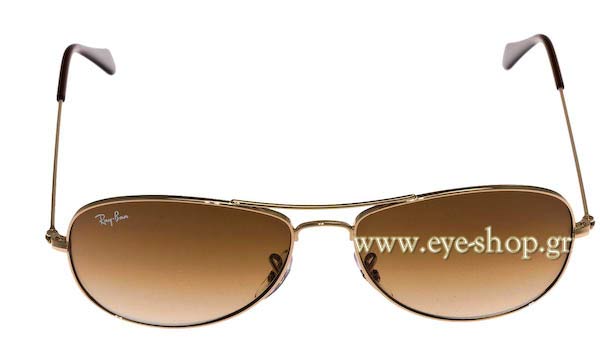 Rayban 3362 Cockpit