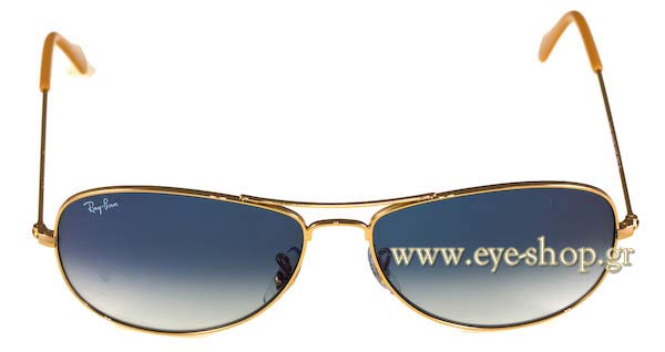 Rayban 3362 Cockpit