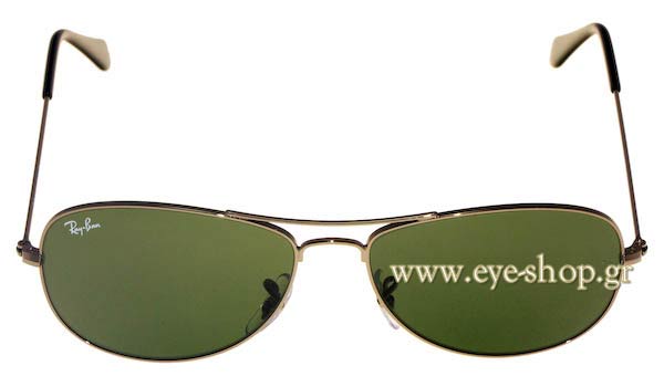 Rayban 3362 Cockpit