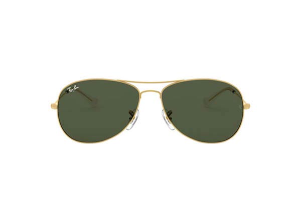 Rayban 3362 Cockpit
