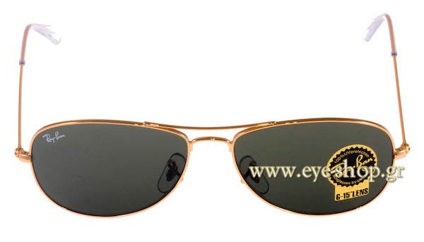Rayban 3362 Cockpit