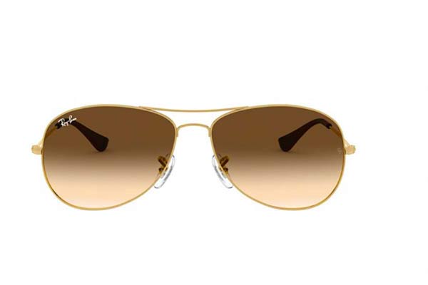 Rayban 3362 Cockpit
