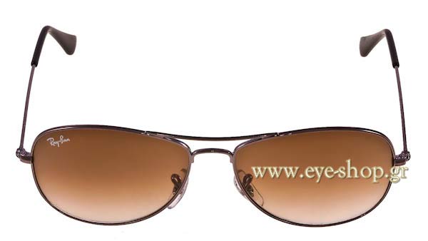 Rayban 3362 Cockpit