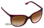 Occhiali da Sole Donna Rayban 4126-Cats-1000 807/51 size 57