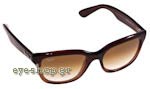 Occhiali da Sole Unisex Rayban 4159 827/51 size 54