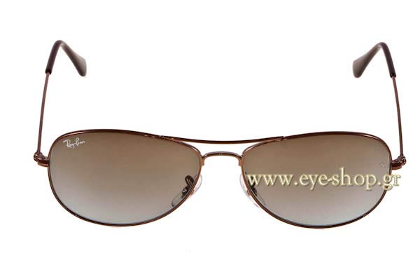 Rayban 3362 Cockpit