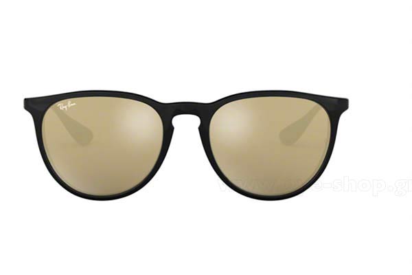 RayBan Erika 4171