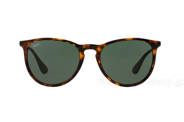 RayBan Erika 4171