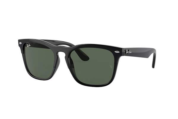 Occhiali Rayban 4487 STEVE 662971