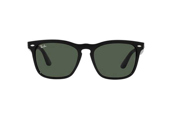 Rayban 4487 STEVE