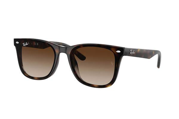 Rayban modello 4420 di colore 710/13