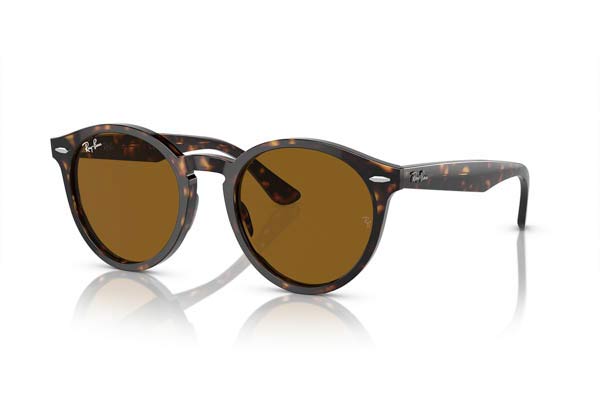Occhiali da sole Rayban 7680S LARRY 902/33