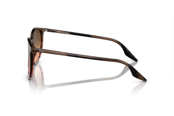 Rayban 2204