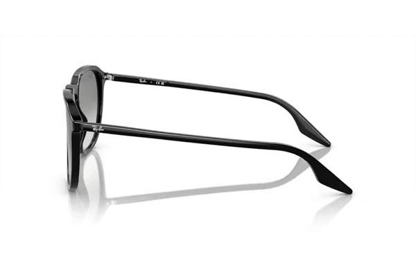 Rayban 2203