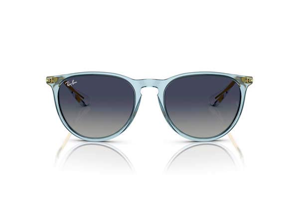 Rayban ERIKA 4171