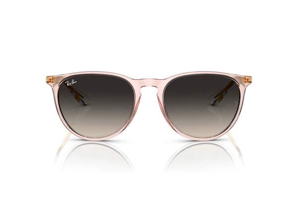 Rayban ERIKA 4171