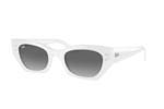 Occhiali da Sole Unisex Rayban 4430-ZENA 675911 size 49
