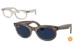 Occhiali da Sole Unisex Rayban 2242-WAYFARER-OVAL 1383GG size 53
