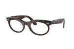 Occhiali da Sole Unisex Rayban 2242-WAYFARER-OVAL 902/GI size 50