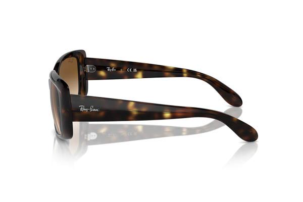 Rayban modello 4389 di colore 710/51