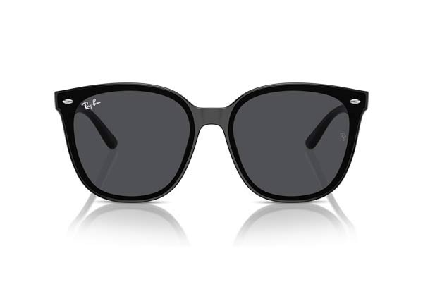 Rayban 4423D
